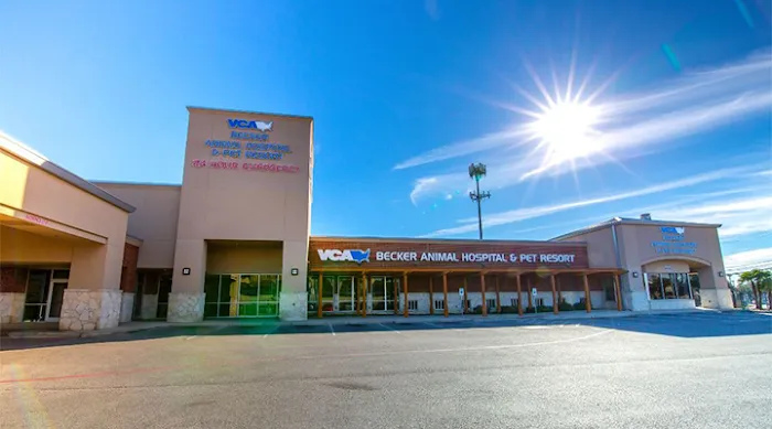VCA Becker Animal Hospital and Pet Resort Picture 5