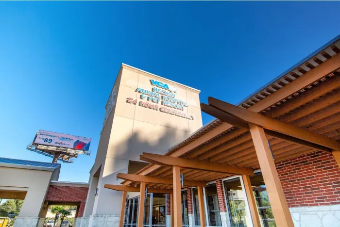 VCA Becker Animal Hospital and Pet Resort Picture 7