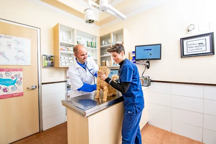 VCA Becker Animal Hospital and Pet Resort Picture 9