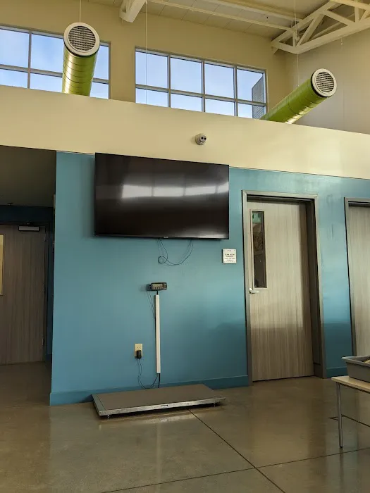 The Leeu Naylor Medical Building Picture 6