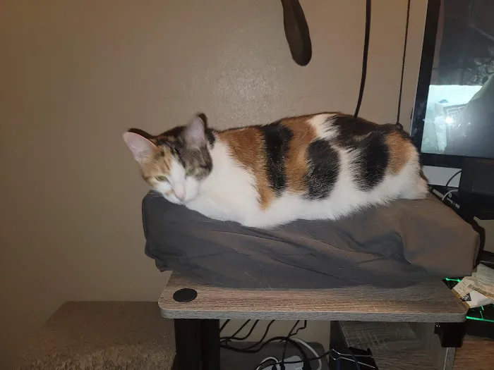 Vetco Total Care Animal Hospital Picture 1