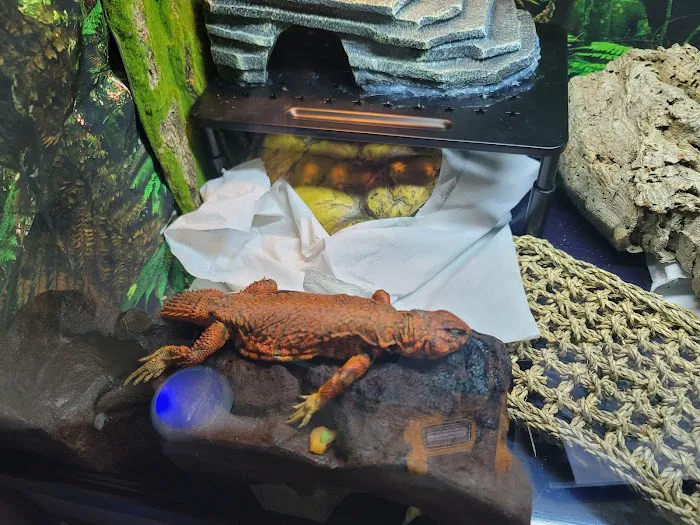 Vetco Total Care Animal Hospital Picture 4