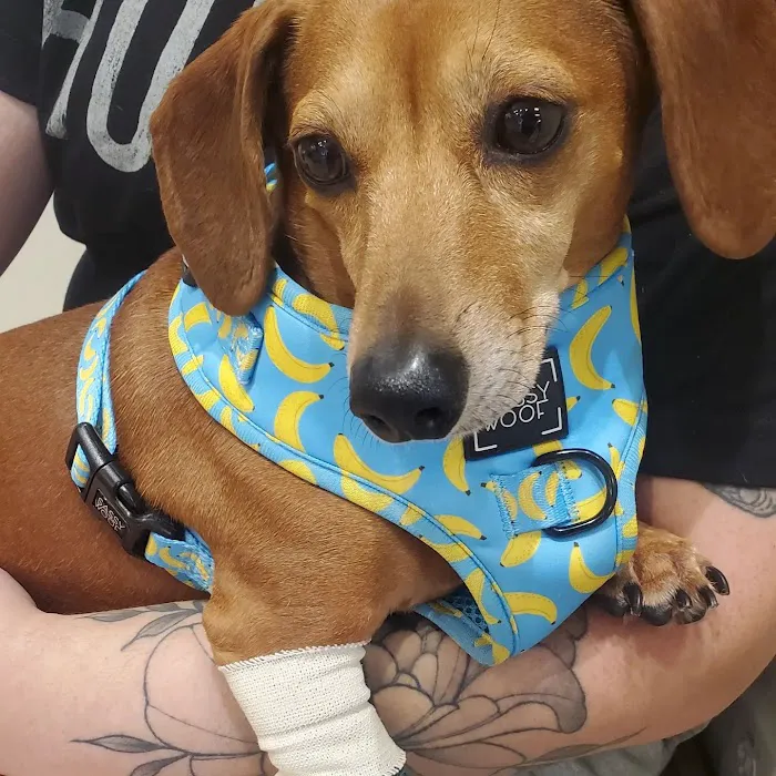 Vetco Total Care Animal Hospital Picture 8
