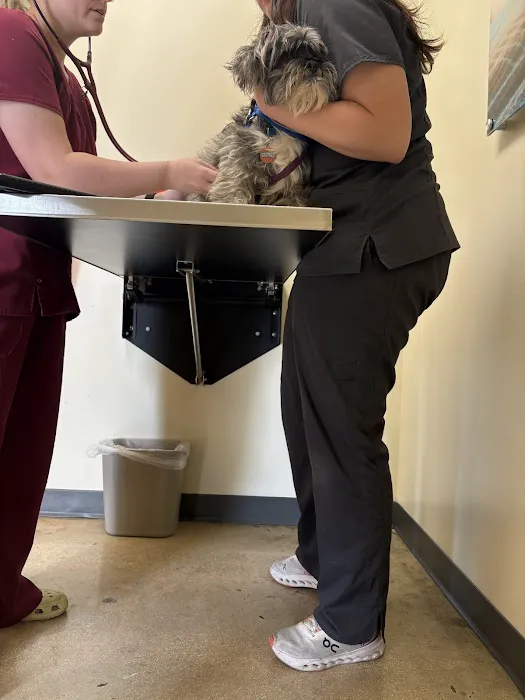 Vetco Vaccination Clinic Picture 3