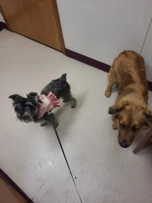 Zarzamora Veterinary Clinic - James Gates DVM Picture 3