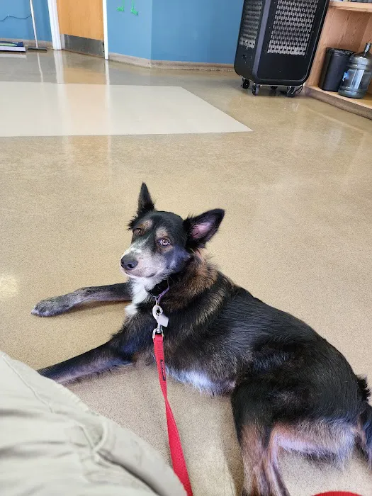 Zarzamora Veterinary Clinic - James Gates DVM Picture 9
