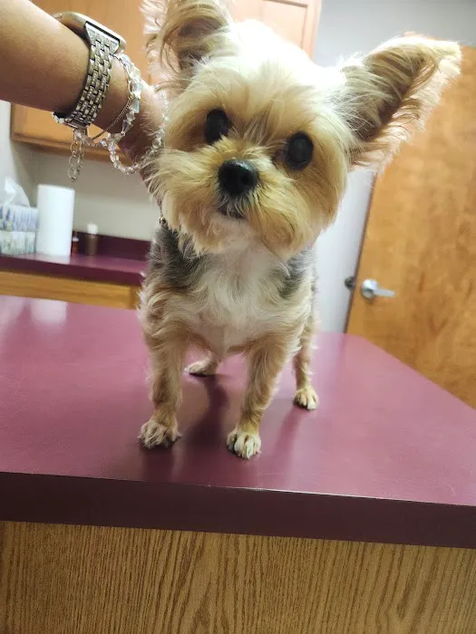 Zarzamora Veterinary Clinic - James Gates DVM Picture 10