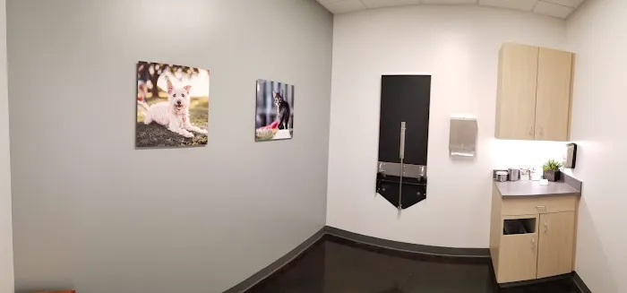 Thrive Pet Healthcare - Terrell Plaza Picture 1