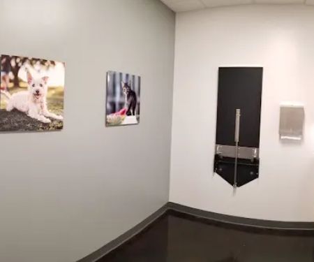 Thrive Pet Healthcare - Terrell Plaza