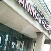 Veterinary Medical Association of Bexar County ico