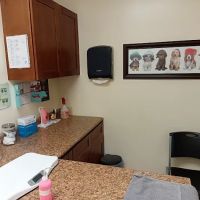 Ace Veterinary Clinic ico