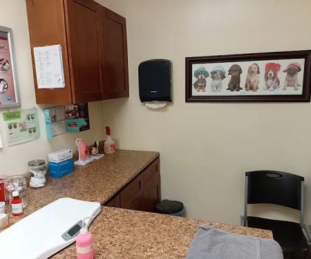 Ace Veterinary Clinic
