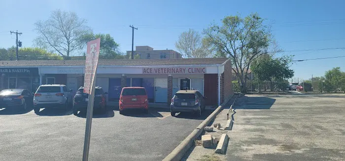 Ace Veterinary Clinic Picture 5