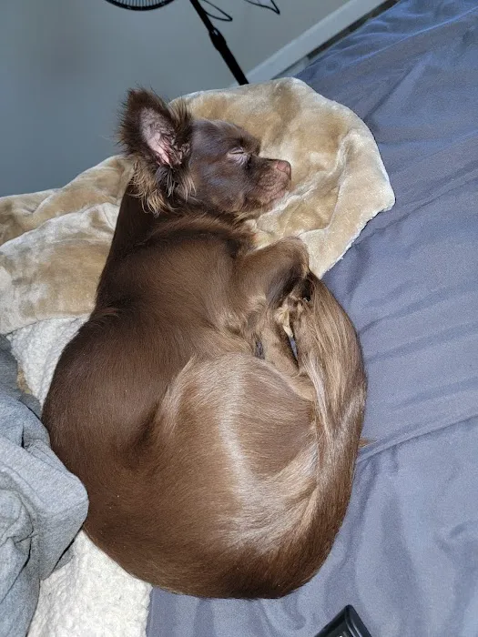 Ace Veterinary Clinic Picture 10
