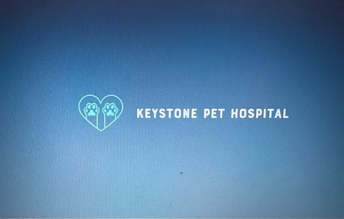 Keystone Pet Hospital Picture 2