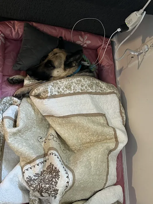 Keystone Pet Hospital Picture 6