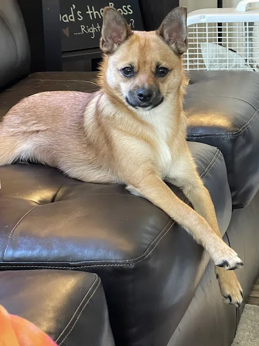Keystone Pet Hospital Picture 4