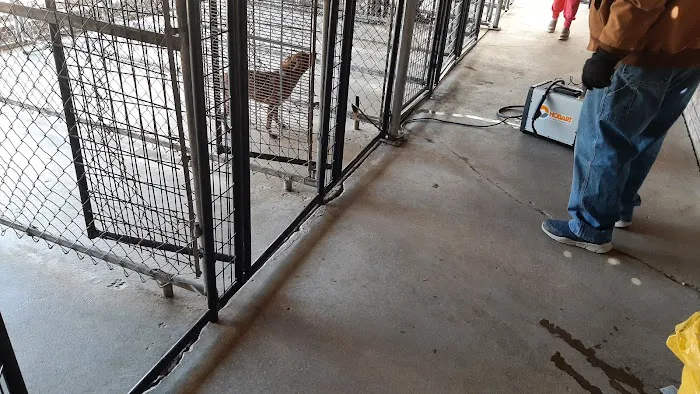 Keystone Pet Hospital Picture 9