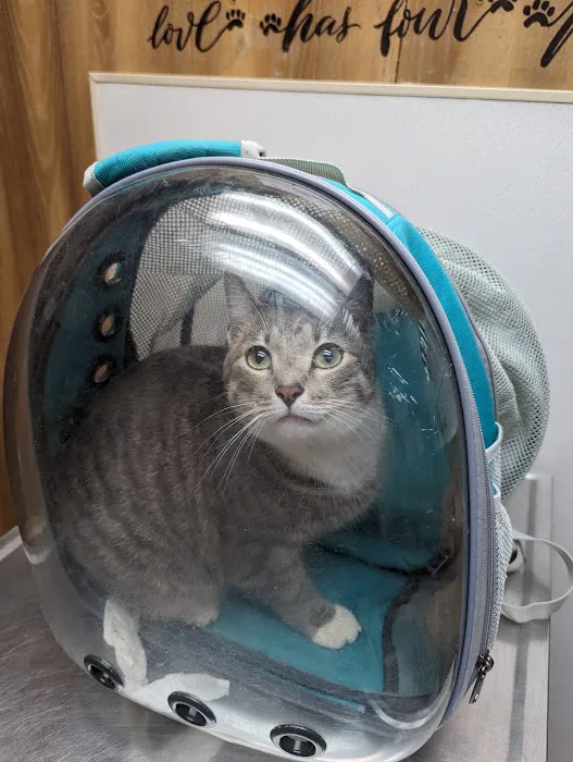 Keystone Pet Hospital Picture 8