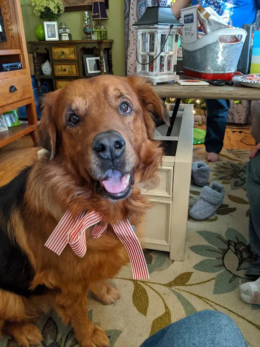 Keystone Pet Hospital Picture 10
