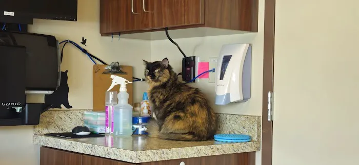 The Paw Patch Place Picture 2