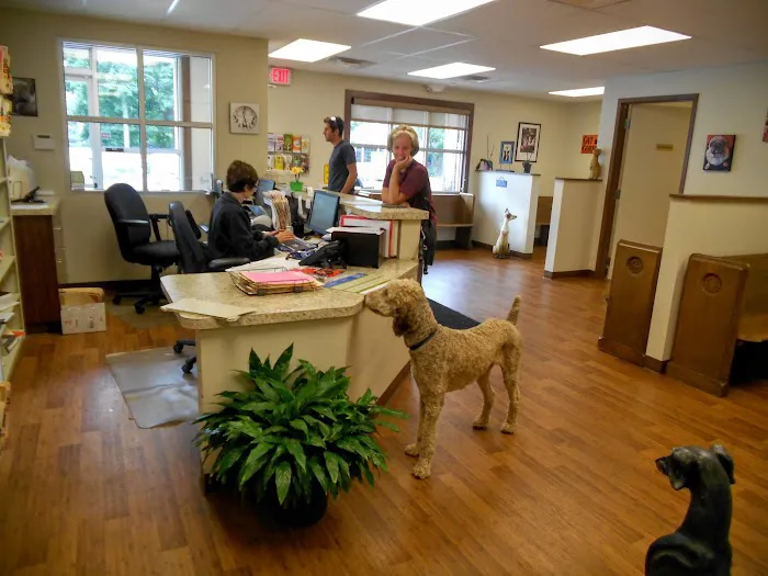 The Paw Patch Place Picture 5