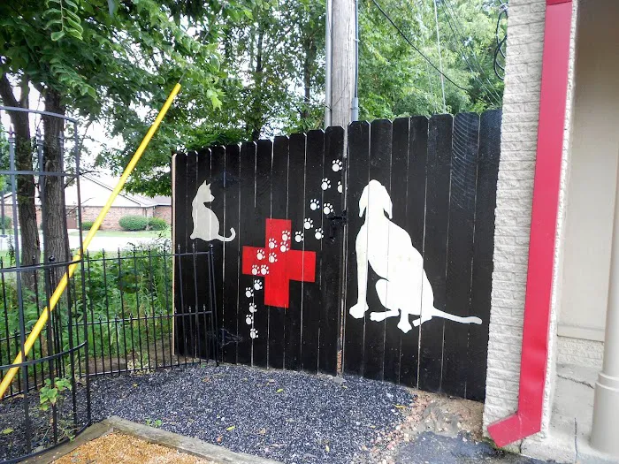 The Paw Patch Place Picture 8