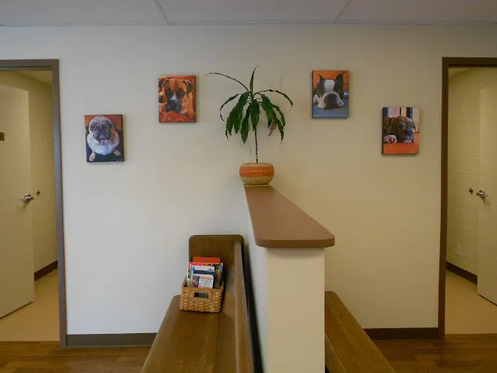 The Paw Patch Place Picture 7