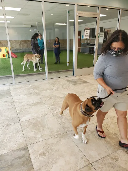 North Star Animal Hospital Picture 1
