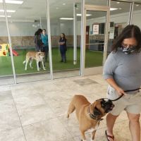 North Star Animal Hospital ico