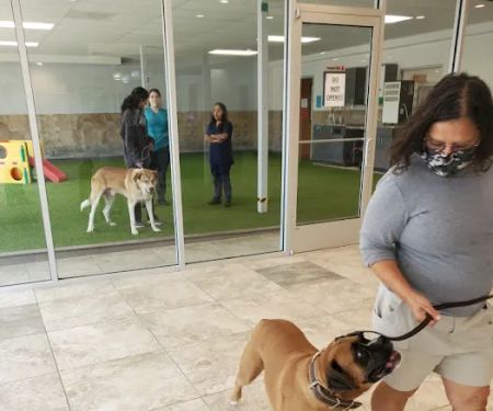 North Star Animal Hospital
