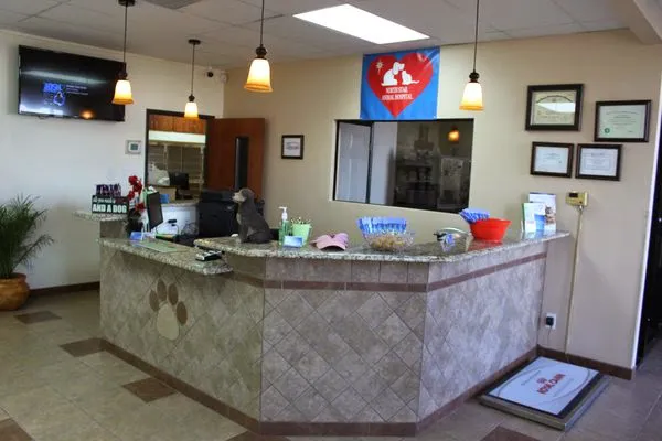 North Star Animal Hospital Picture 6