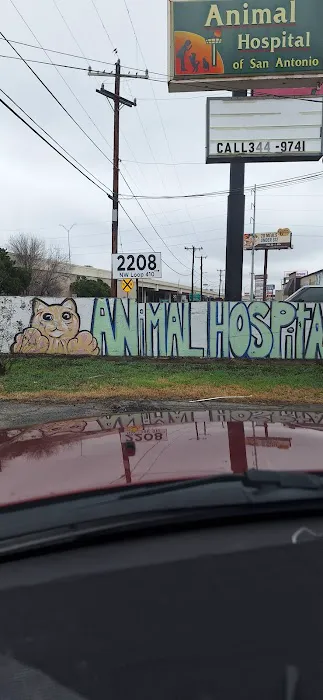 Animal Hospital of San Antonio Picture 4