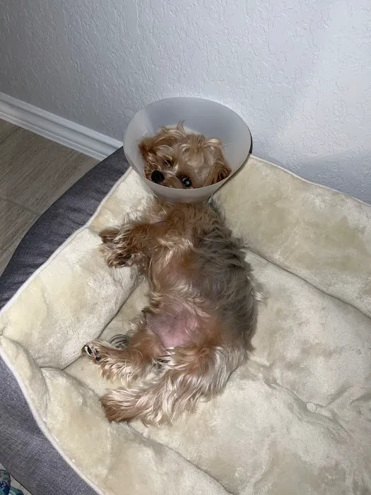Vetco Total Care Animal Hospital Picture 8