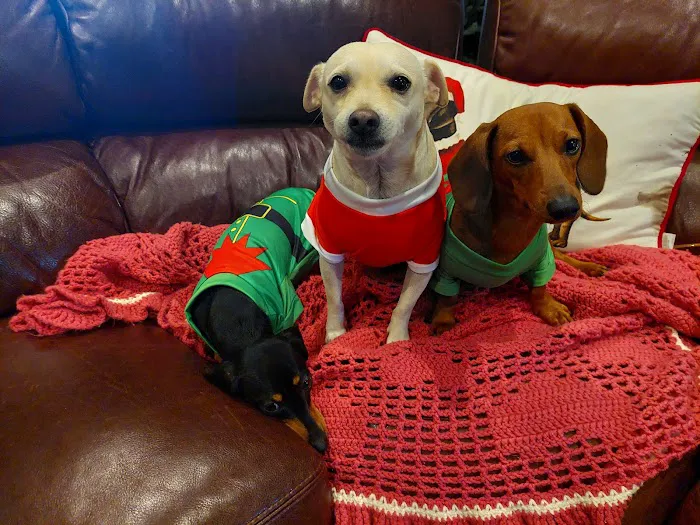 Vetco Total Care Animal Hospital Picture 9