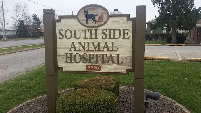 South Side Animal Hospital Picture 4