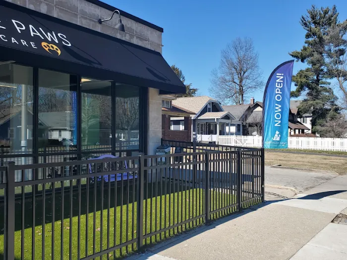 Northside Paws Veterinary Care Picture 3