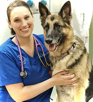 Northside Paws Veterinary Care Picture 4