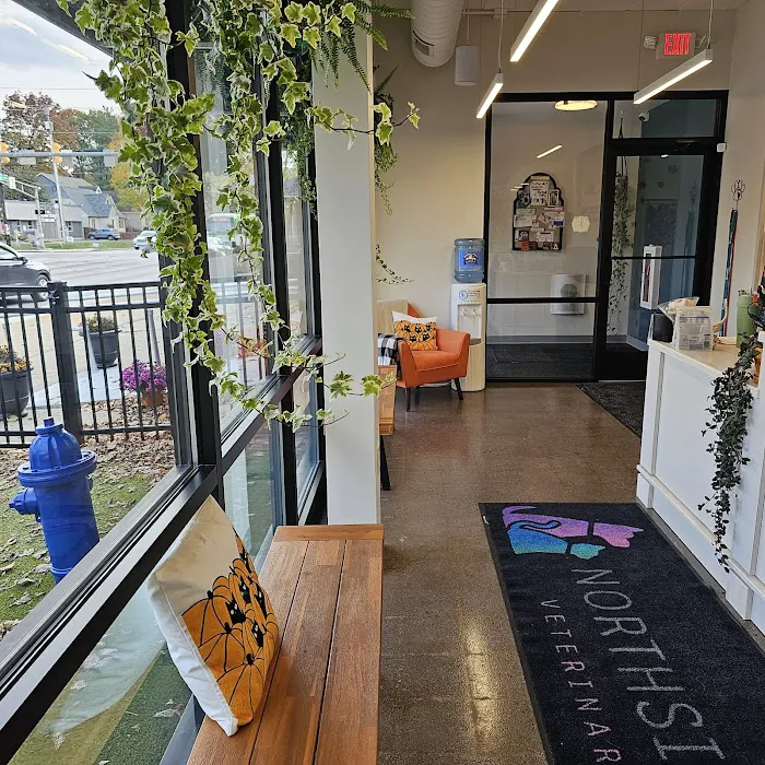 Northside Paws Veterinary Care Picture 6