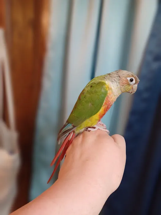 All Wild Things Exotic Animal Hospital Picture 2