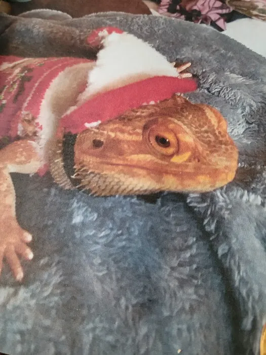 All Wild Things Exotic Animal Hospital Picture 9