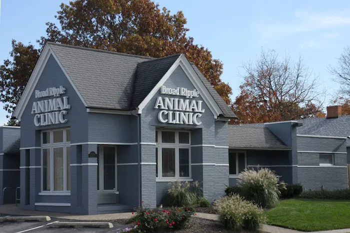 Broad Ripple Animal Clinic Picture 3