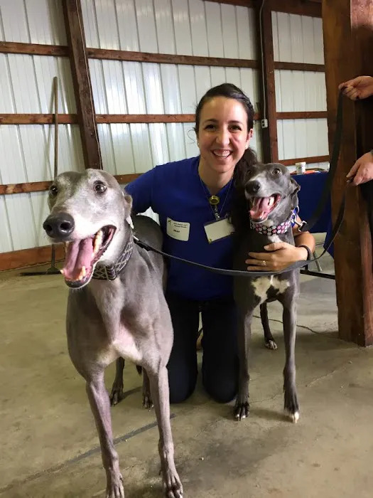 Broad Ripple Animal Clinic Picture 4