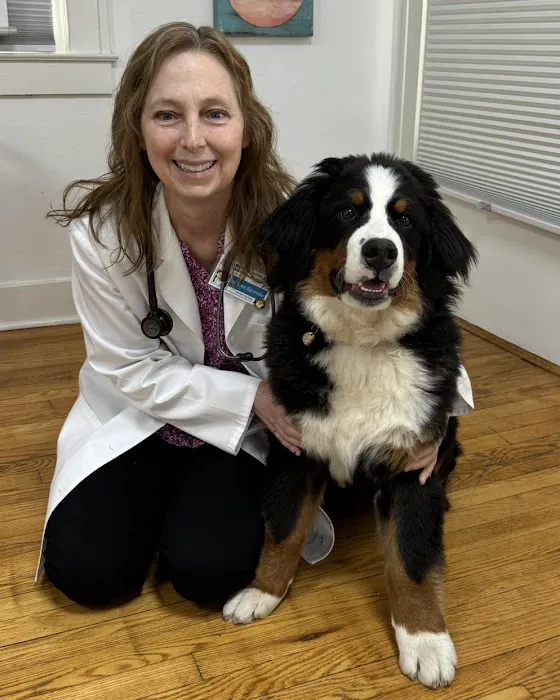 Broad Ripple Animal Clinic Picture 5
