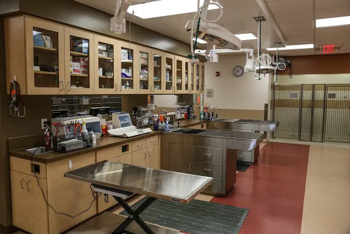VCA Beech Grove Animal Hospital Picture 2