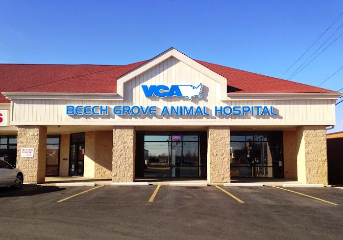 VCA Beech Grove Animal Hospital Picture 3