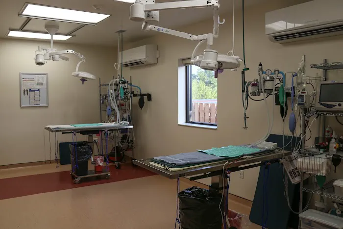 VCA Beech Grove Animal Hospital Picture 4