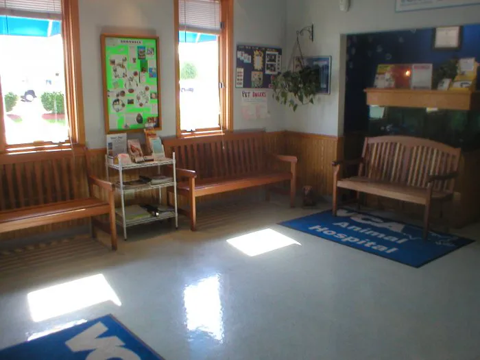 VCA Beech Grove Animal Hospital Picture 5