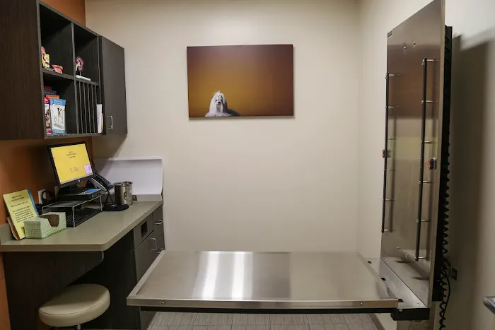 VCA Beech Grove Animal Hospital Picture 8
