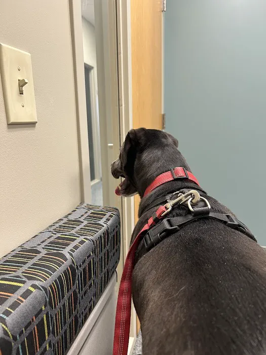 IndyVet Emergency & Specialty Hospital Picture 2